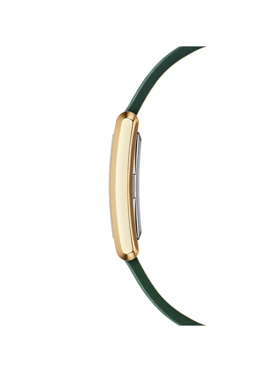 daniel-wellington-orologio-bound-crocodile