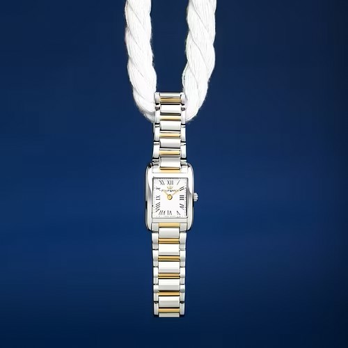 4-orologio-philip-watch-museum-r8253225508_v6n12f
