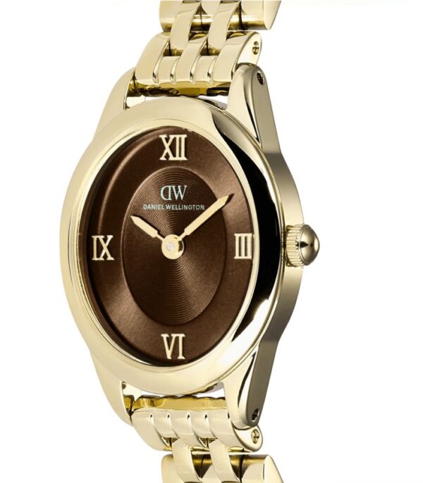 orologio-daniel-wellington-ophelia-mini-beans-link-amber-gold-dw00101018 (2)
